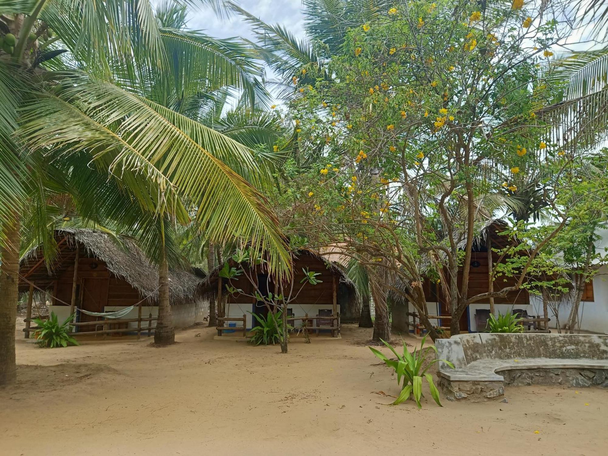 Sand Dune Beach Resort & Surf Camp Arugam Bay Exterior photo